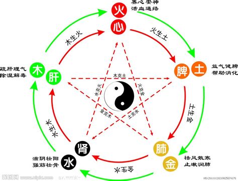 五行相泄|五行之间的关系及其原理（上）